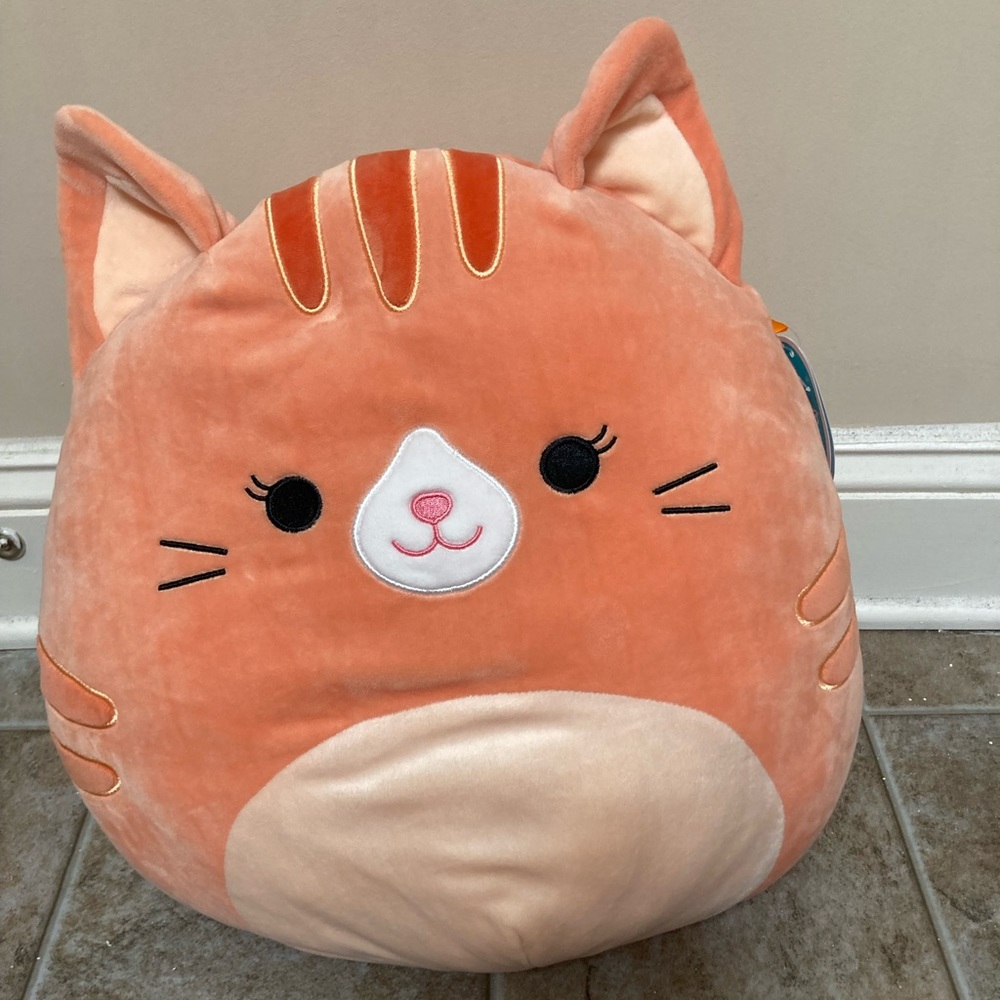 Gigi the ginger cat